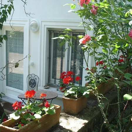 Des Musiciens - Quartier Orangerie *