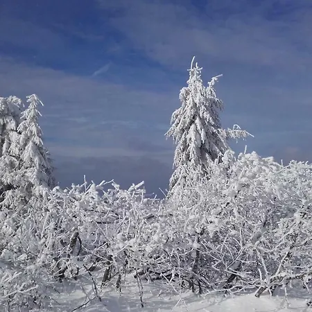 Des Musiciens - Quartier Orangerie *