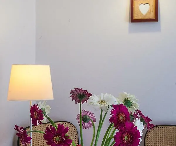 Studio Des Musiciens Apartment *