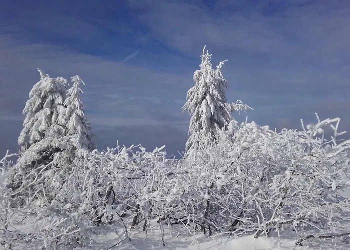 Studio Des Musiciens *